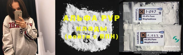 индика Снежинск