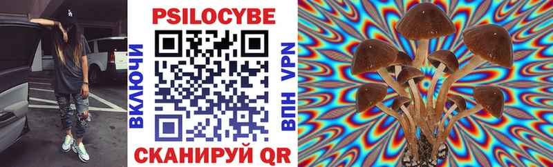 Галлюциногенные грибы GOLDEN TEACHER  мега как зайти  Гдов 